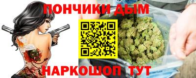 индика Новозыбков