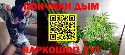 индика Новозыбков