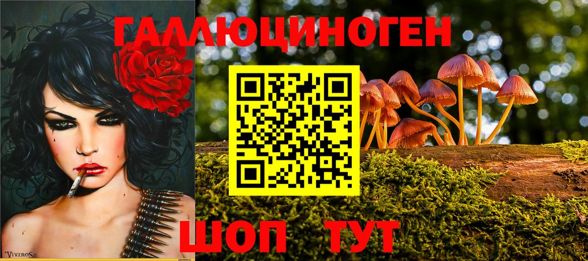 Галлюциногенные грибы Magic Shrooms Урай