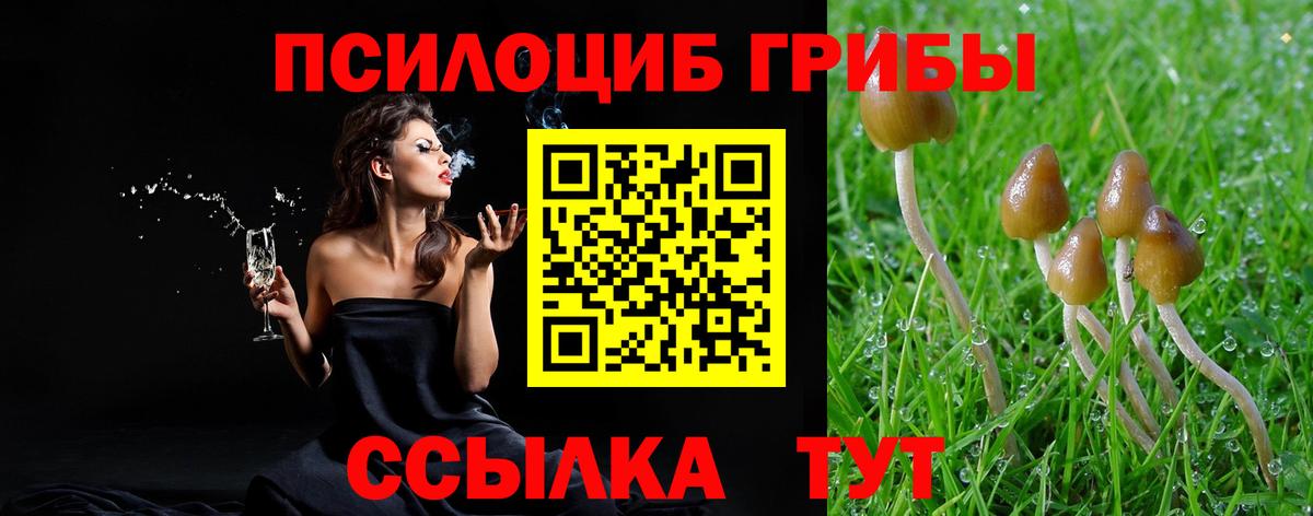Псилоцибиновые грибы мицелий  Вход с VPN  Урай 